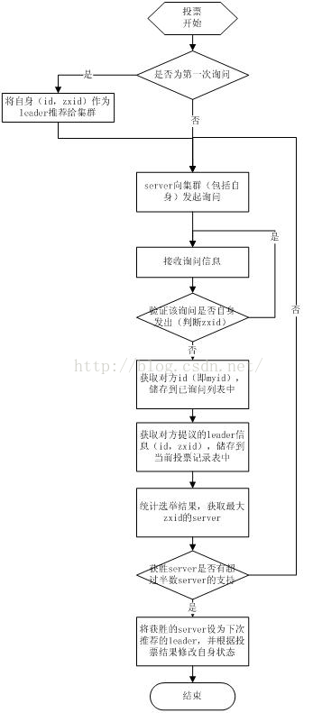 选举